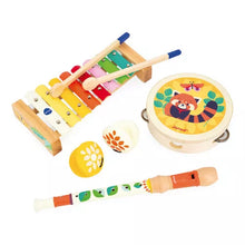 Load image into Gallery viewer, Musical Instrument Set &#39;&#39;Gioia&#39;&#39;
