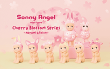 Load image into Gallery viewer, Sonny Angel Blind Box, Various Series&#39;
