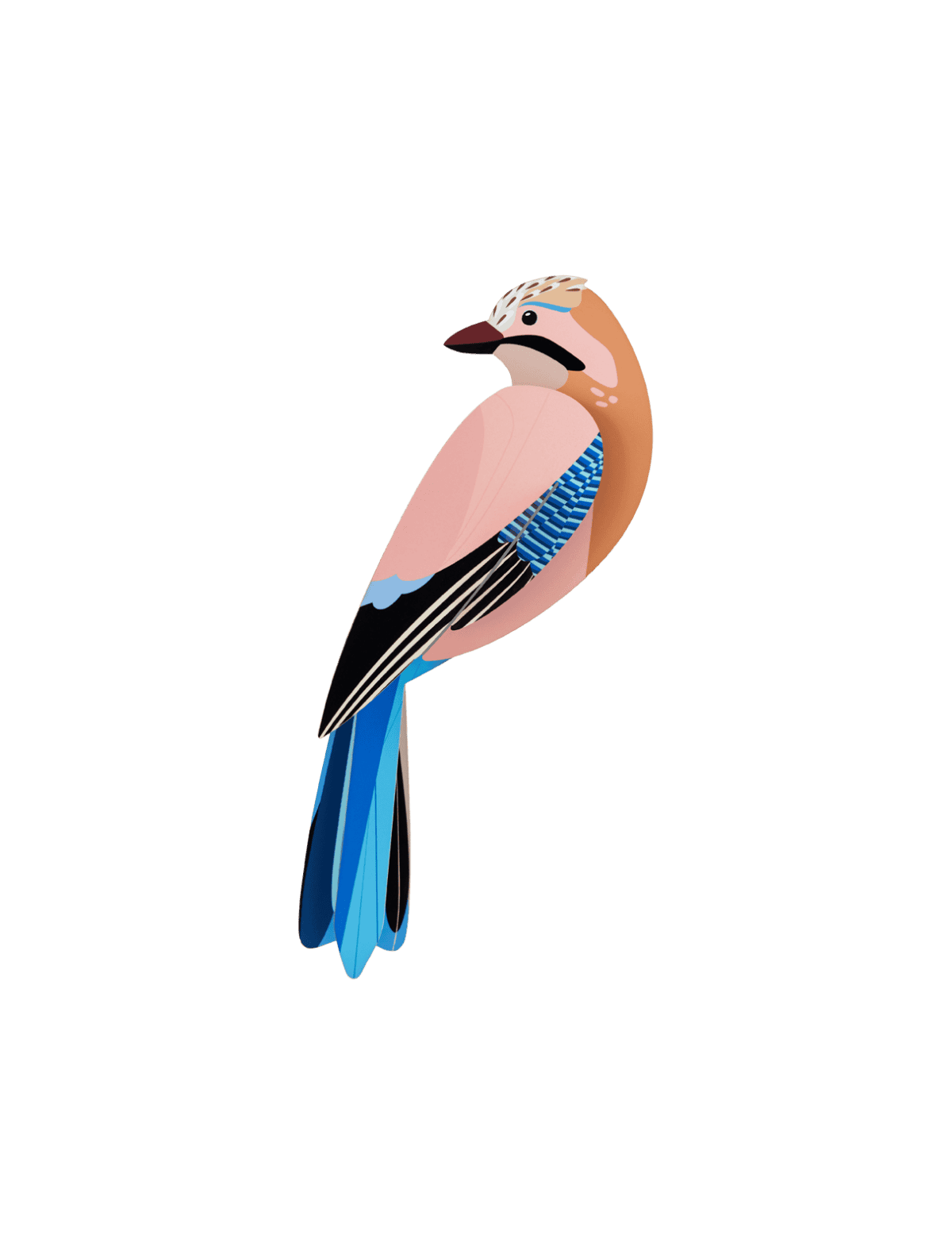Studio Roof, Garden Bird, Jay Decoration
