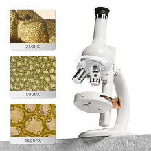 Load image into Gallery viewer, Microscope 1600 Lab Set

