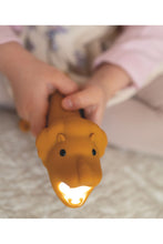 Load image into Gallery viewer, Flashlight, Lion
