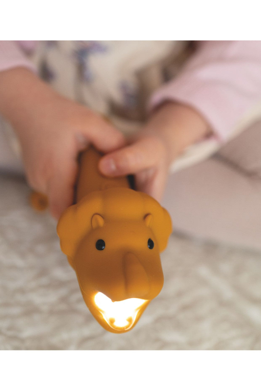 Flashlight, Lion