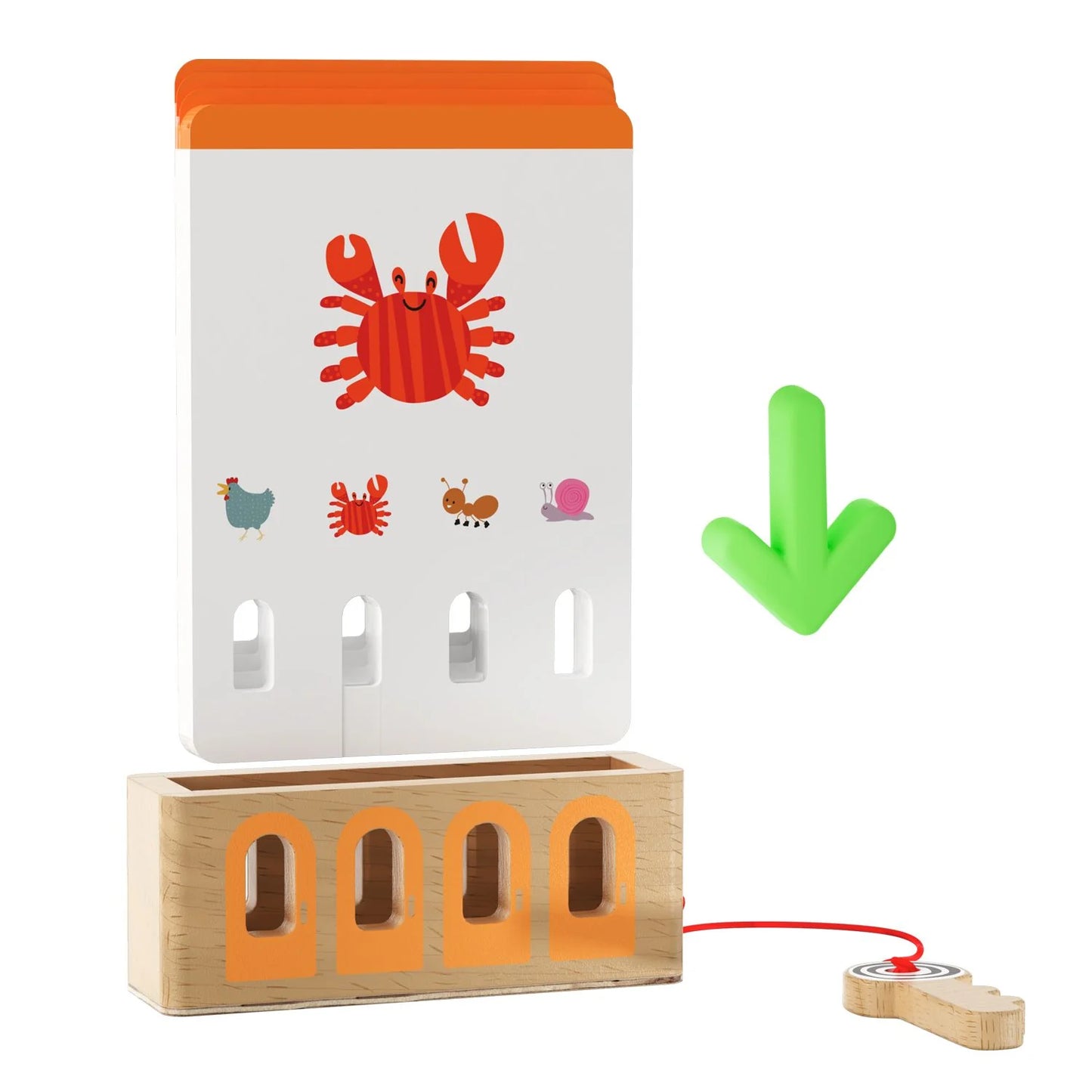 Logical Key Game, 36 months +