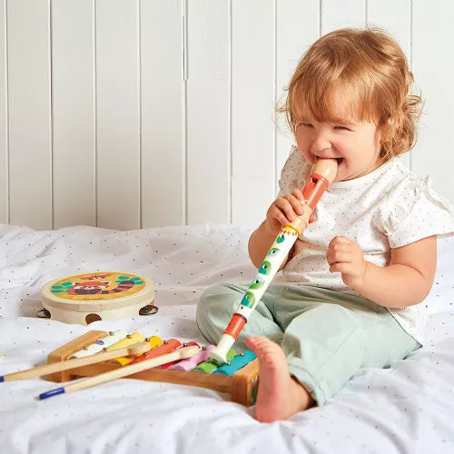 Musical Instruments Set, 18 Months +