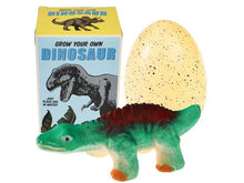 Lade das Bild in den Galerie-Viewer, Riesiges Schlüpf-Ei „Züchte deinen eigenen Dinosaurier“

