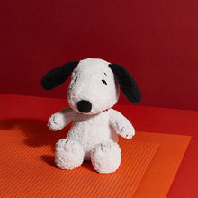 Load image into Gallery viewer, Snoopy Sitting Terry Cream, Soft Toy 20cm
