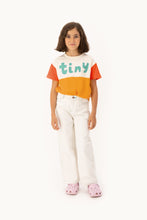 Load image into Gallery viewer, T Shirt &#39;&#39;Tiny Color Block&#39;&#39;
