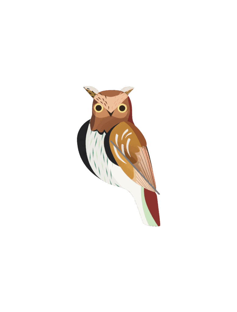 Studio Roof,  Tawny Owl Wall Decoration