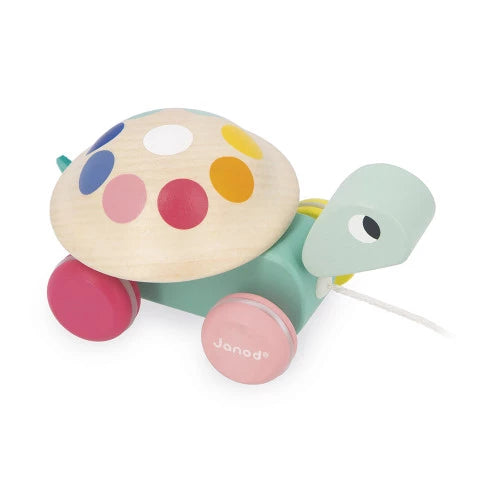 Colorful wooden turtle toy with wheels 