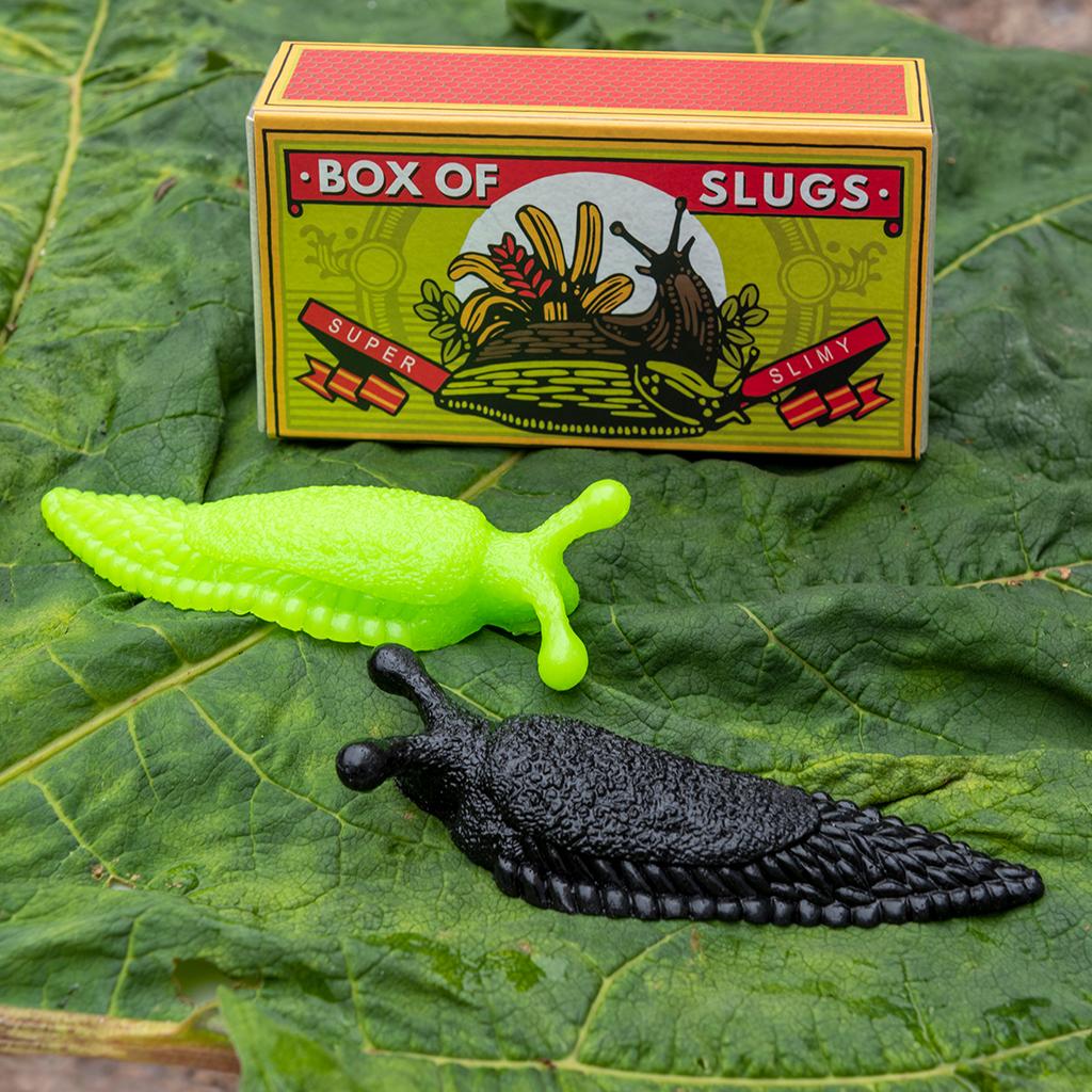Box of Slugs ''Pretend Slugs''