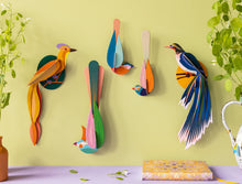 Lade das Bild in den Galerie-Viewer, Studio Dachdekoration&#39;&#39;Paradise Bird, Oahu&#39;&#39;
