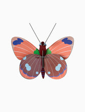 Load image into Gallery viewer, Wall Decoration &#39;&#39;Delias Butterfly&#39;&#39;
