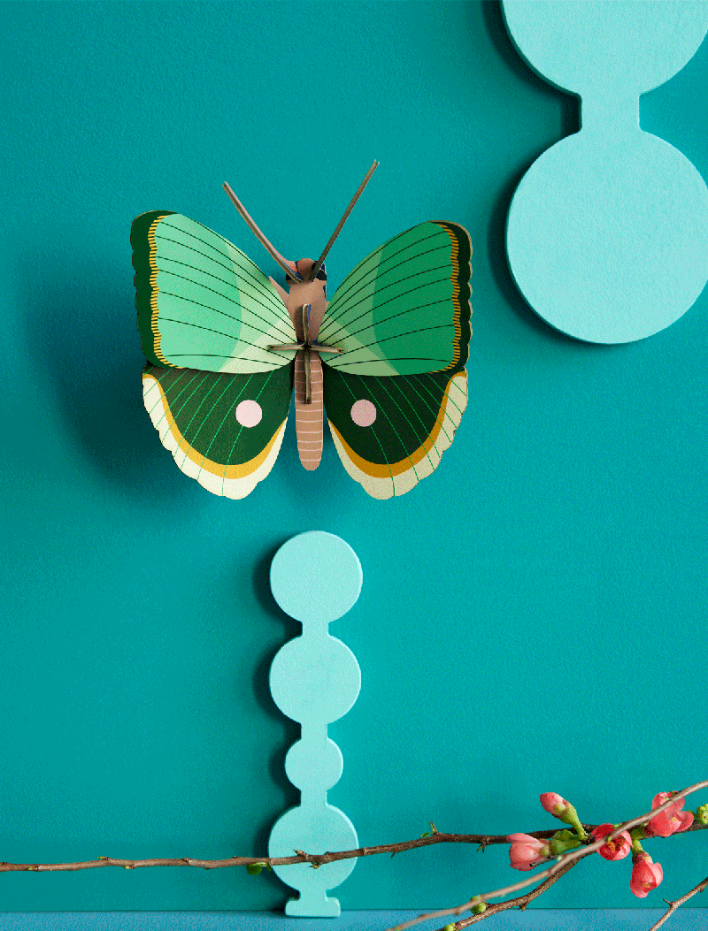 ''Fern Striped Butterfly'' 3D Wall Hanging