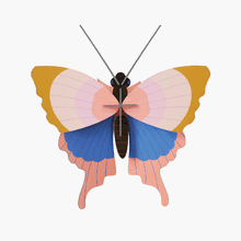 Load image into Gallery viewer, &#39;&#39;Gold Rim Butterfly&#39;&#39; 3D Wall Hanging
