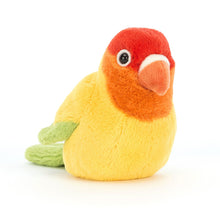 Load image into Gallery viewer, Soft Toy &#39;&#39;A Pair of Lovely Lovebirds&#39;&#39;
