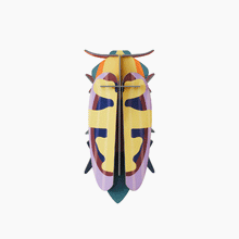 Load image into Gallery viewer, &#39;&#39;Mango Flower Beetle&#39;&#39; 3D Wall Hanging
