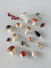 Load image into Gallery viewer, Wooden Forest Mushrooms in Basket
