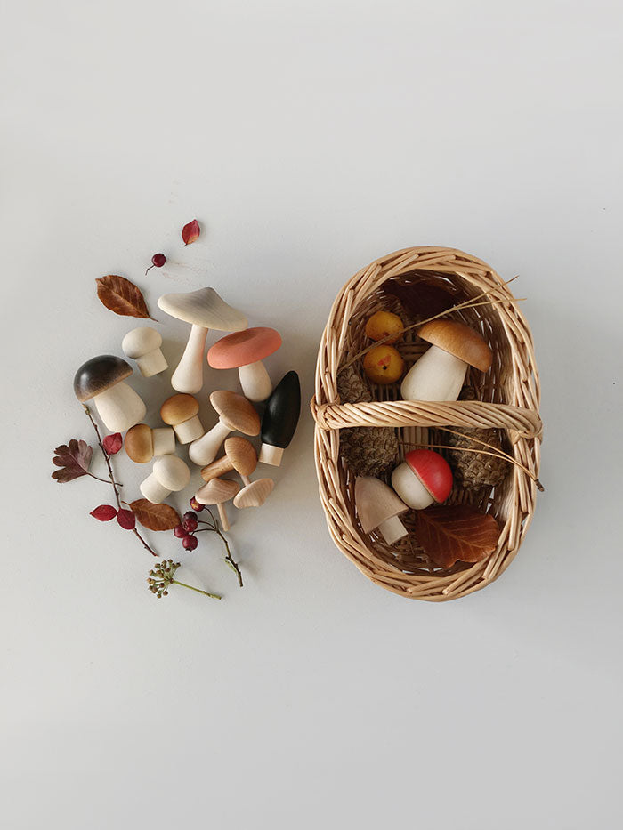 Wooden Forest Mushrooms in Basket