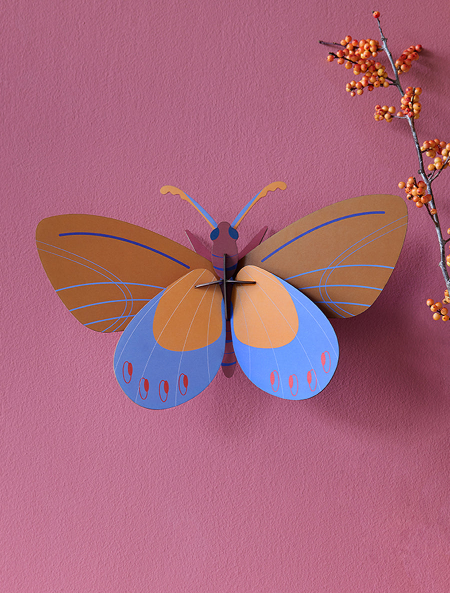Studio-Dach ''Ocker Costa Schmetterling'' Dekoration