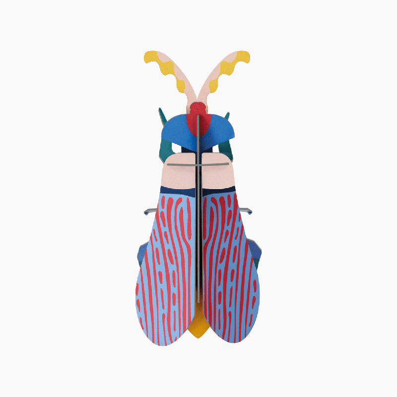 ''Striped Wing Beetle'' 3D Wall Hanging