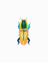 Load image into Gallery viewer, Studio Roof &#39;&#39;Madagascar Beetle&#39;&#39; Decoration
