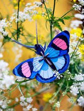 Lade das Bild in den Galerie-Viewer, Wanddeko &#39;&#39;Tagpfauenauge&#39;&#39;
