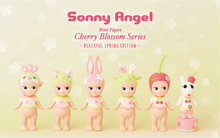Load image into Gallery viewer, Sonny Angel Blind Box, Various Series&#39;
