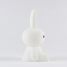 Lade das Bild in den Galerie-Viewer, Lichtbündel &#39;&#39;Miffy Nightlight&#39;&#39;
